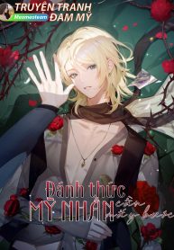 Bia truyen DANH THUC MY NHAN
