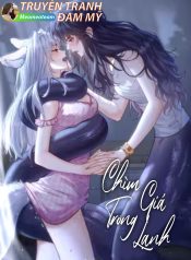 bìa chìm trong giá lạnh