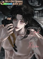 bìa tình yêu ngàn năm