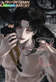 bìa tình yêu ngàn năm