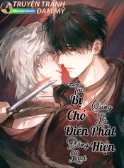 bìa bị chó điên