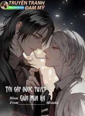 bìa tôi gặp được tuyết