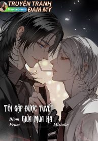 bìa tôi gặp được tuyết