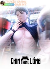 bìa chim trong lồng