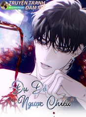 bìa dụ dỗ ngược chiều