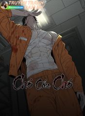 bìa chó cắn chó